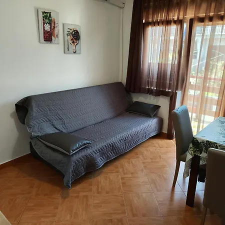 Apartment Ivo